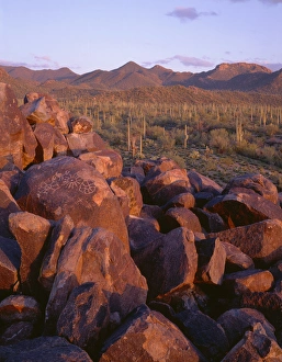 USA, Arizona, Saguaro National Park, Tucson Mountain District, Sunset light defines