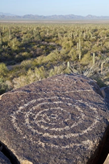 Images Dated 28th March 2012: USA, Arizona, Saguaro National Park. Close-up of Hohokam indian petroglyph. Credit as