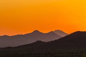 Images Dated 18th April 2015: USA, Arizona, Saguaro National Park. Tucson Mountains at sunset