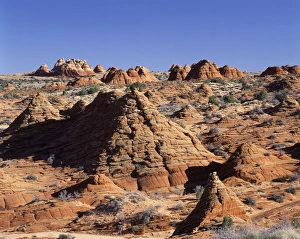 Eroded Prints: USA, Arizona, Sandstone formations at Paria Canyon