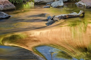 Images Dated 15th September 2012: USA, Arizona, Sedona. Autumn reflections on water