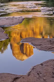 USA, Arizona, Sedona. Cathedral Rock reflects in creek