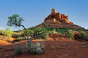 Images Dated 7th March 2023: USA, Arizona, Sedona. Morning glow on Bell Rock