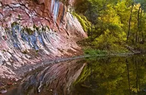 USA, Arizona, Sedona, Oak Creek Canyon. Rock formation patterns and trees in autumn