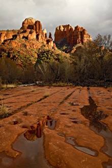 Red Rock Crossing Prints: USA, Arizona, Sedona, Red Rock Crossing. View of Cathedral Rocks at sunset