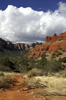 Images Dated 15th January 2006: USA, Arizona, Sedona. Scenic Red Rock formations of Sedona, Arizona