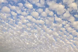 Images Dated 19th April 2018: USA, Arizona, Sonoran Desert. Morning cloud formations