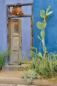 Images Dated 16th November 2016: USA, Arizona, Tucson, Blue House