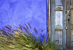Images Dated 12th September 2018: USA, Arizona, Tucson. Colorful wall and weathered door