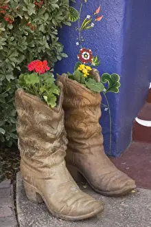 Images Dated 21st January 2008: USA, Arizona, Tucson. Cowboy boots used as planters on porch of Hacienda Del Sol Guest Ranch Resort