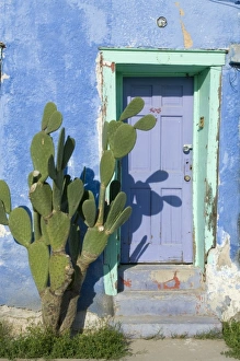 Images Dated 6th April 2009: USA, Arizona, Tucson. Exterior doorway detail