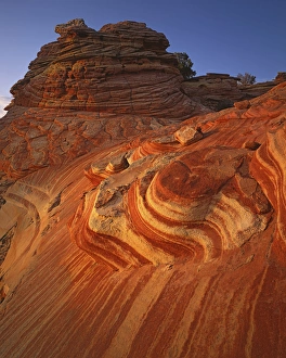 USA, Arizona, Vermilion Cliffs National Monument, Paria-Vermilion Cliffs Wilderness