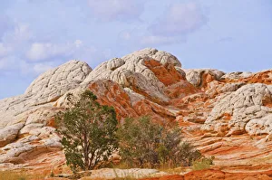 USA, Arizona, Vermilion Cliffs National Monument. White Pocket, swirling, multicolored formations of Navajo sandstone