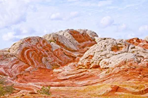 USA, Arizona, Vermilion Cliffs National Monument. White Pocket, swirling, multicolored formations of Navajo sandstone