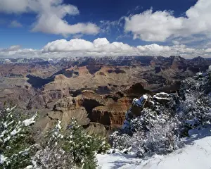 Eroded Prints: USA, Arizona, View of Grand Canyon National Park with snow covered trees
