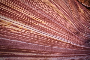 Images Dated 5th February 2013: USA Arizona The Wave