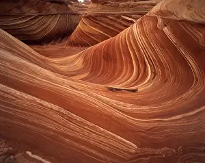 Eroded Prints: USA, Arizona, Wave, Coyote Buttes area of Paria Canyon, Vermilion Cliffs Wilderness Area