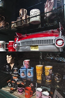 Images Dated 8th January 2009: USA, Arizona, Williams. Rt. 66 Town, Elvis and other souvenirs