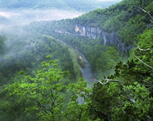 Arkansas Prints: USA, Arkansas, Buffalo National River