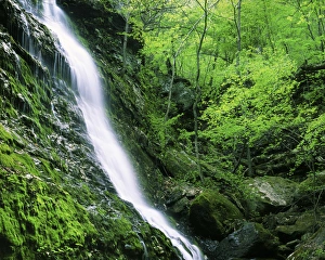 USA, Arkansas, Buffalo National River, Indian Canyon