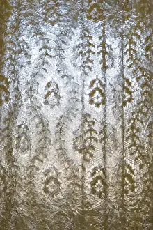 Arkansas Prints: USA, Arkansas, Hot Springs. Lace curtain at Fordyce Bath House