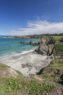 USA, CA, Mendocino County, Jug Handle State Natural Reserve, Jug Handle Cove