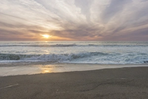 California Prints: USA, CA, Point Reyes National Seashore, Point Reyes Beach Sunset