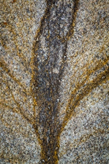 Stain Prints: USA, California, Alabama Hills. Close-up of rock stain