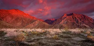 Images Dated 14th December 2022: USA, California, Anza-Borrego Desert State Park. Desert landscape and mountains at sunrise