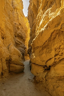 New Images March 2024 Part 2 Prints: USA, California, Anza Borrego Desert State Park