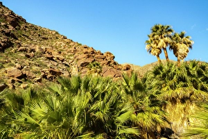 New Images March 2025 Part 2 Prints: USA, California, Anza Borrego Desert State Park