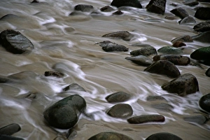Frank Zurey Prints: USA, California, Big Sur, Pfeiffer Beach. Surf and rocks on the beach