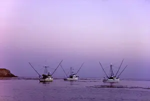 Commercial Fishing Prints: USA, California, Bodega Bay. Commercial fishing boats in Bodega Bay