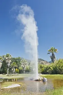 Calistoga Prints: USA, California, Calistoga, Old Faithful Geyser of California