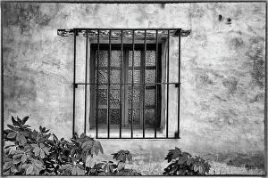 Mission Prints: USA, California, Carmel. Inside the grounds at the Carmel Mission Basilica Museum