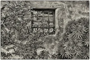 Images Dated 5th January 2024: USA, California, Carmel. Inside the grounds at the Carmel Mission Basilica Museum
