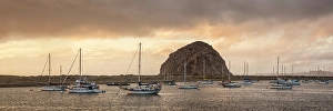 Images Dated 2025: USA, California, Central Coast