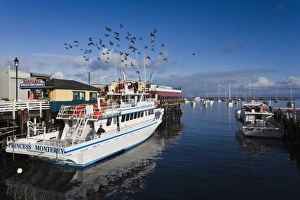 Images Dated 26th December 2010: USA, California, Central Coast, Monterey, Fishermans Wharf, tourist boat