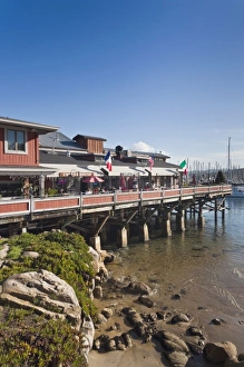 Images Dated 26th December 2010: USA, California, Central Coast, Monterey, Fishermans Wharf, morning