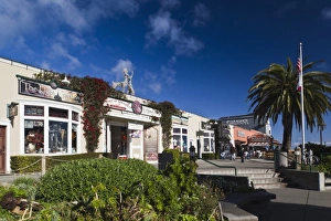 Images Dated 26th December 2010: USA, California, Central Coast, Monterey, Cannery Row area, morning
