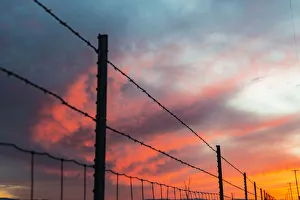 West Coast Prints: USA, California, Central Valley, Vernalis, off Route 132, sunset