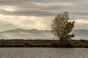 Landscape-Scenic Prints: USA, California, Central Valley. San Joaquin River near Firebaugh