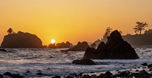 Images Dated 6th June 2024: USA, California, Crescent City. Seastack along coastline at sunset
