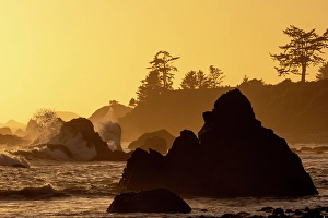 Images Dated 16th September 2024: USA, California, Crescent City. Seastack along coastline at sunset