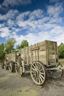 Images Dated 5th January 2005: USA-California-Death Valley National Park: Furnace Creek - Old Borax Wagon from Mule Train