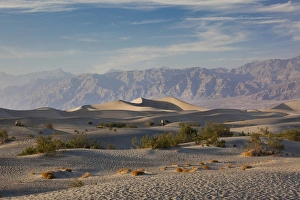 Images Dated 15th April 2011: USA, California, Death Valley National Park, Mesquite Flat Sand Dunes, late afternoon