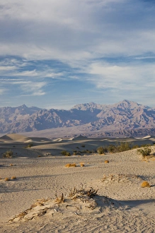 Images Dated 15th April 2011: USA, California, Death Valley National Park, Mesquite Flat Sand Dunes, late afternoon