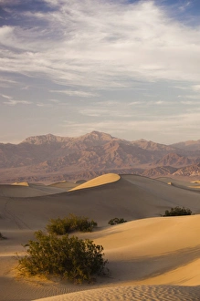 Images Dated 15th April 2011: USA, California, Death Valley National Park, Mesquite Flat Sand Dunes, late afternoon