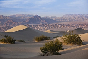 Images Dated 15th April 2011: USA, California, Death Valley National Park, Mesquite Flat Sand Dunes, late afternoon