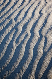 World Location Prints: USA, California, Death Valley National Park, Mesquite Flat Sand Dunes, dawn
